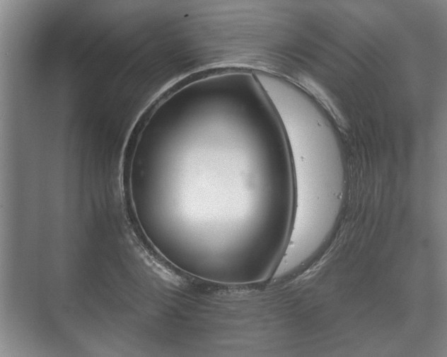 X0000073410884200608040955