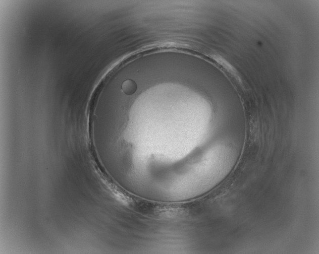 X0000073410886200608040955