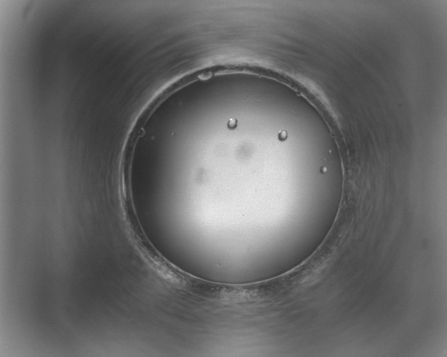 X0000073410887200608040955