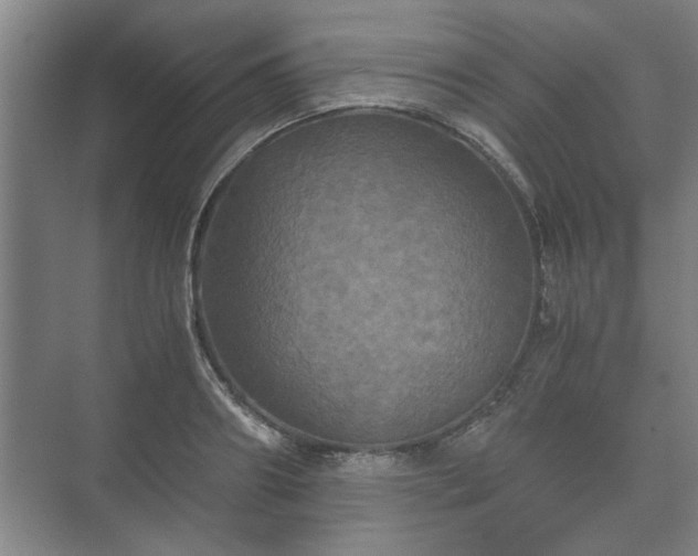 X0000073410890200608040955