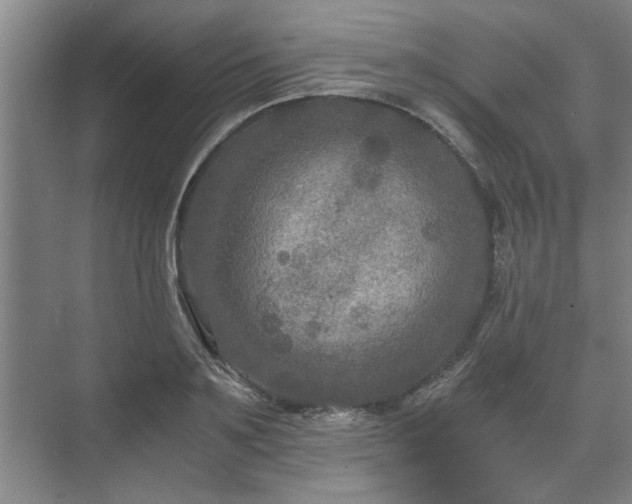 X0000073410891200608040955