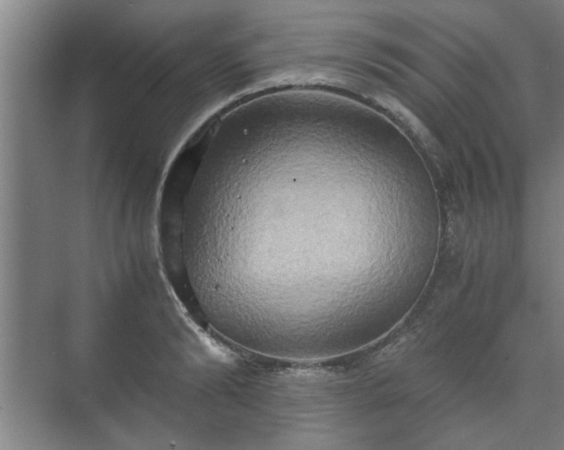 X0000073410894200608040955