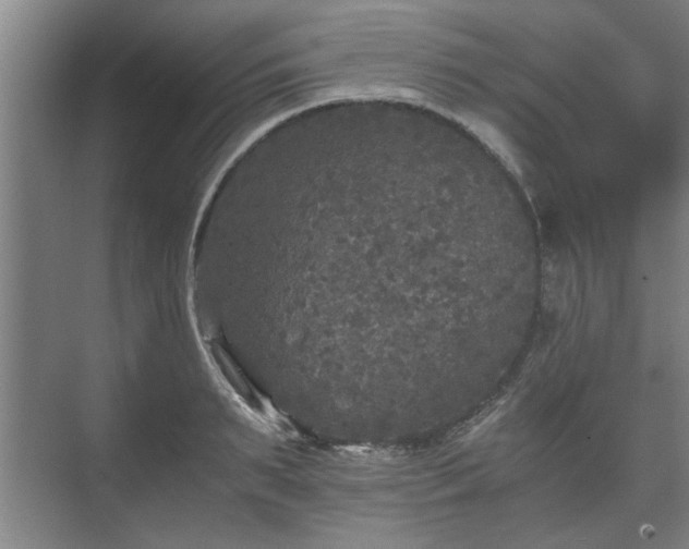 X0000073410895200608040955