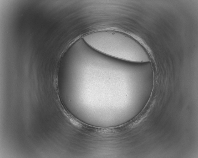 X0000073410897200608040955