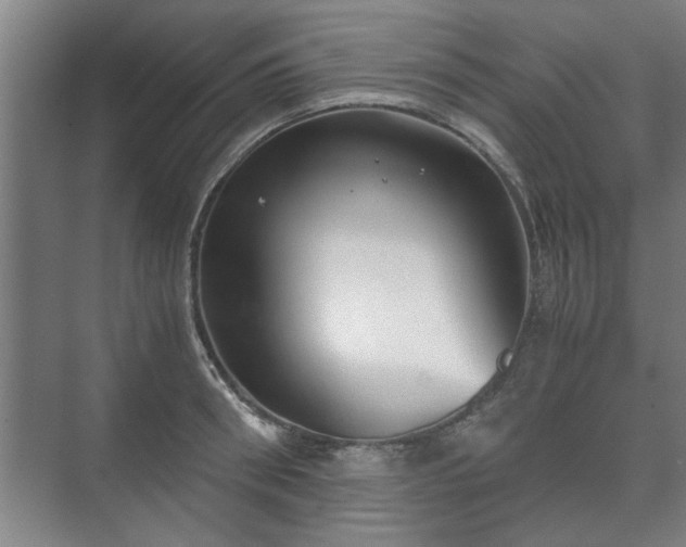 X0000073410898200608040955