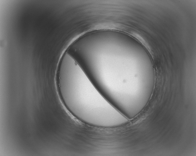 X0000073410901200608040955