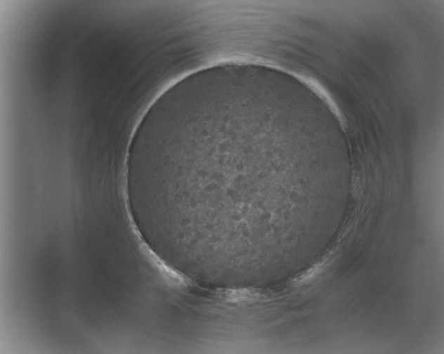 X0000073410903200608040955