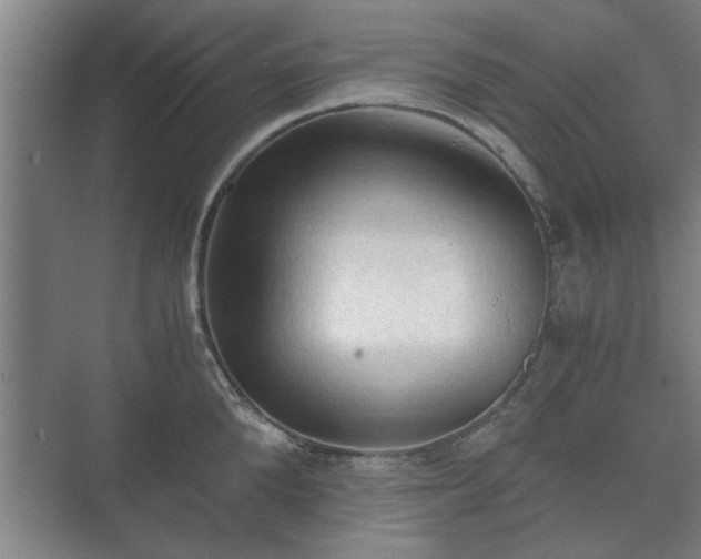 X0000073410904200608040955