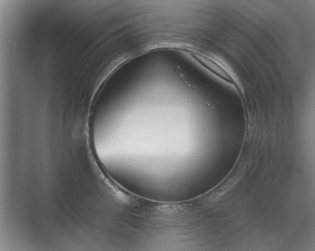 X0000073410906200608040955