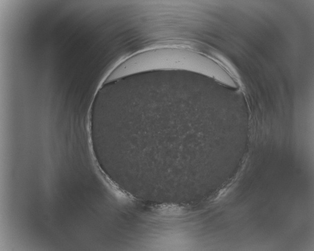 X0000073410907200608040955