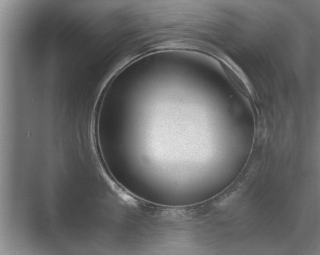 X0000073410909200608040955