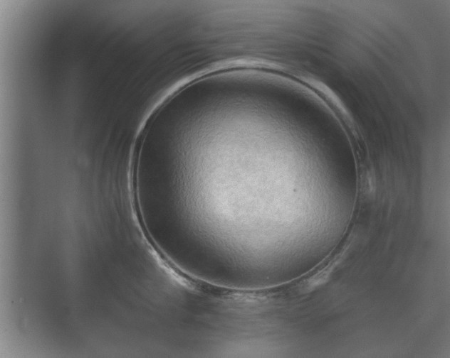 X0000073410910200608040955