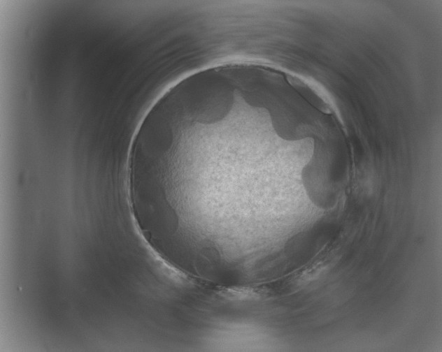 X0000073410911200608040955