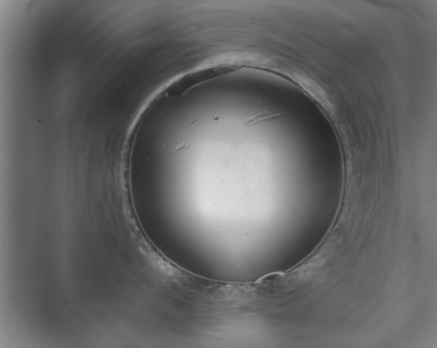 X0000073410912200608040955