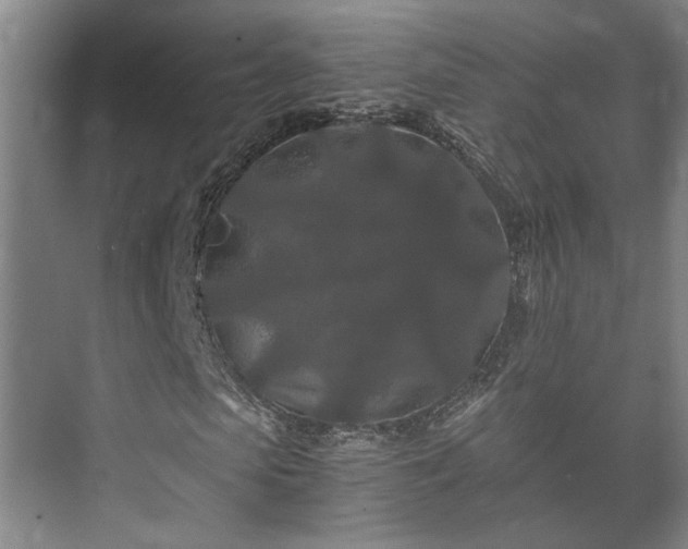 X0000073410913200608040954