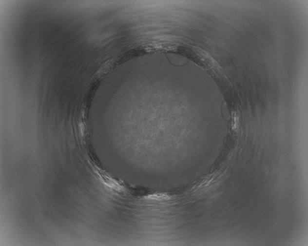 X0000073410915200608040954