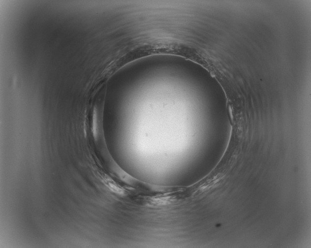 X0000073410916200608040954