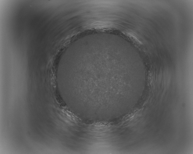 X0000073410917200608040954