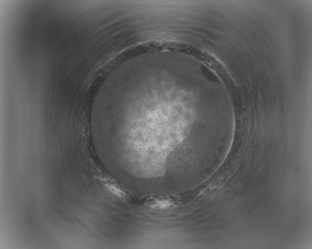 X0000073410919200608040954