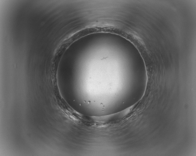 X0000073410920200608040954