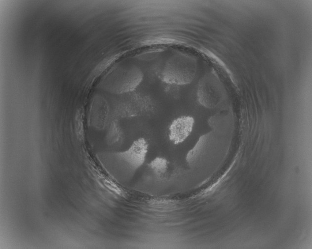 X0000073410921200608040954