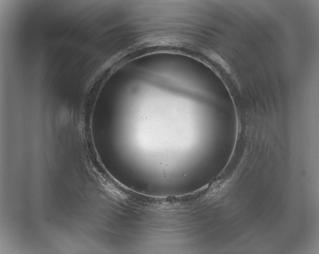 X0000073410922200608040954