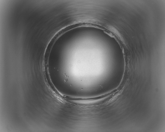 X0000073410924200608040954