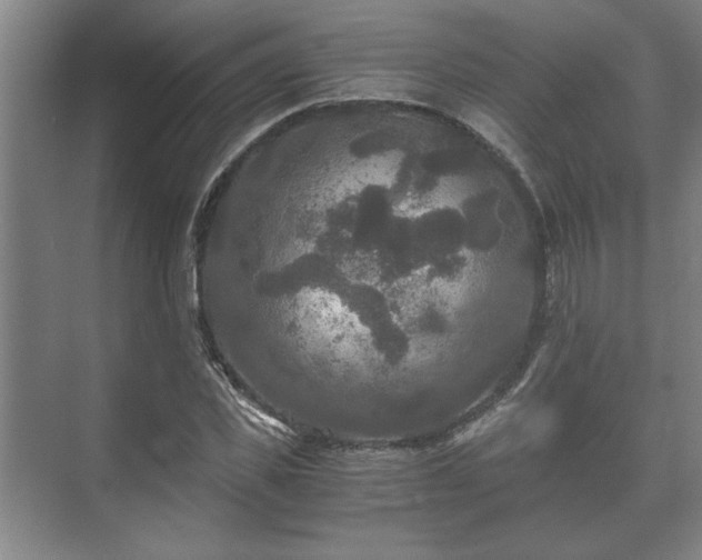 X0000073410925200608040954