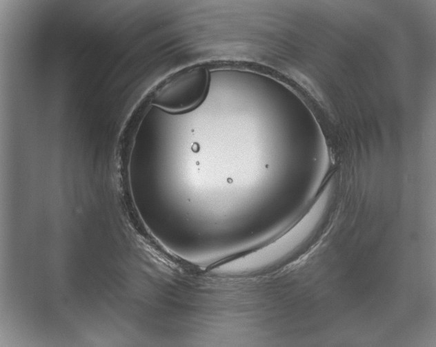 X0000073410926200608040954