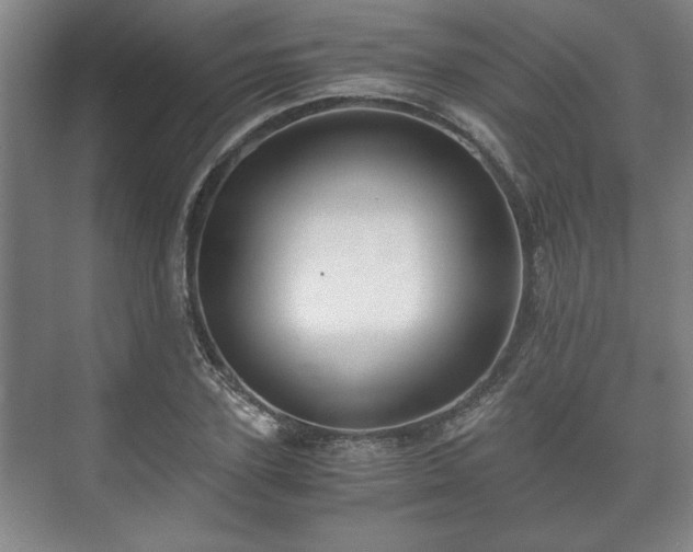 X0000073410931200608040954