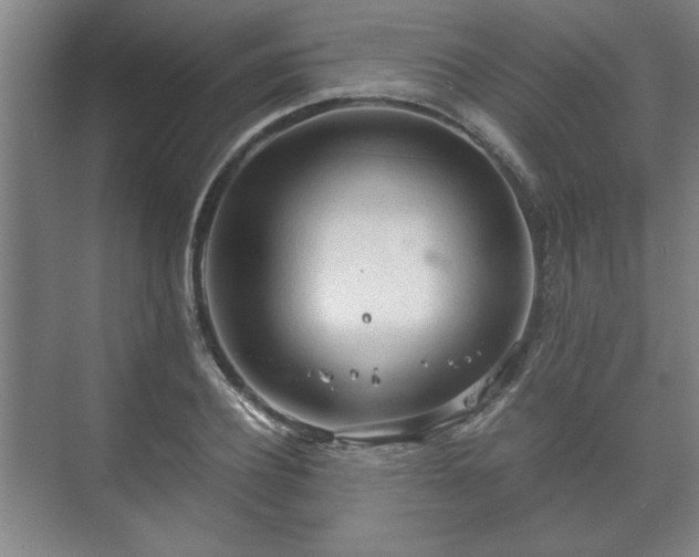 X0000073410932200608040954