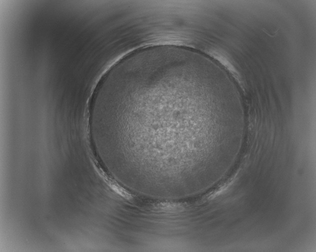 X0000073410933200608040954