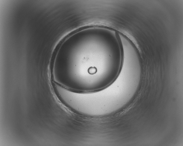 X0000073410936200608040955