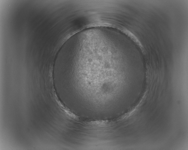 X0000073410937200608040955