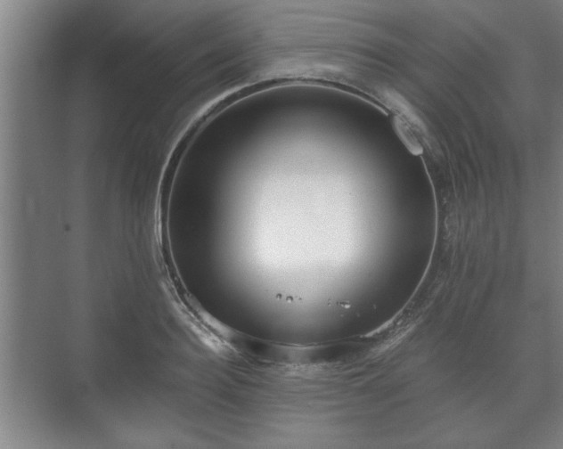 X0000073410940200608040955