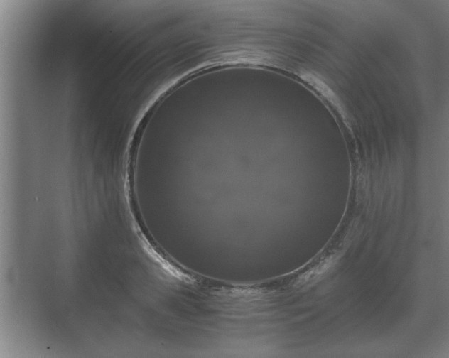 X0000073410941200608040955