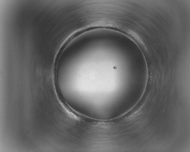 X0000073410942200608040955