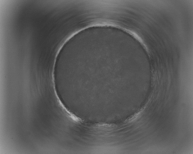 X0000073410943200608040955