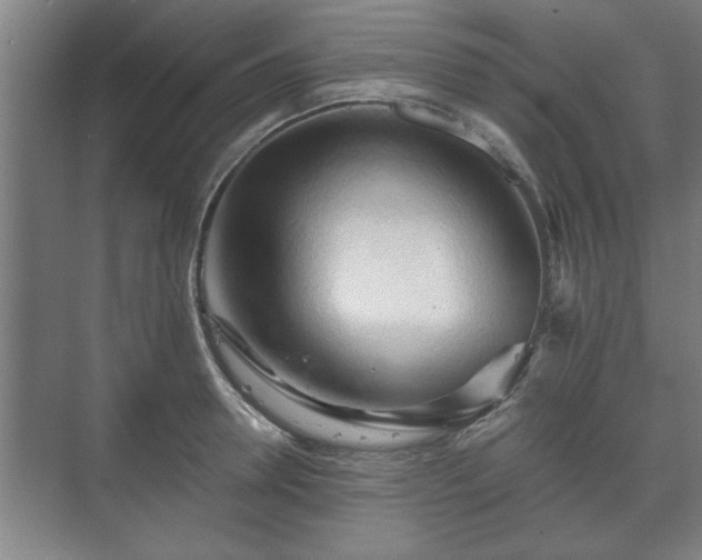 X0000073410946200608040955