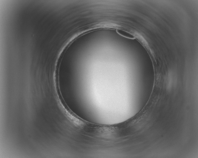 X0000073410947200608040955