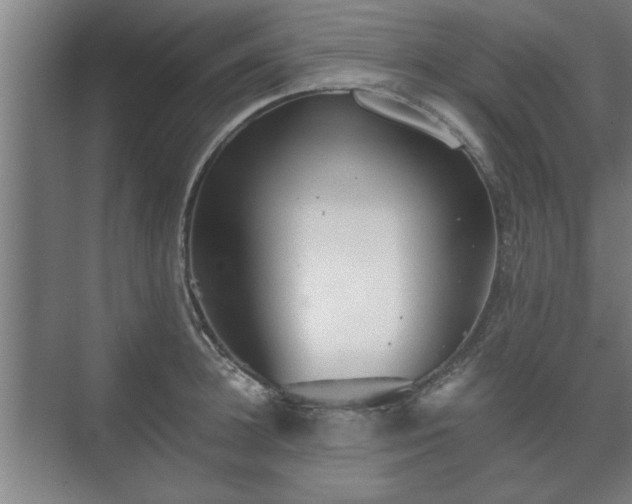 X0000073410948200608040955