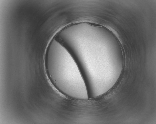 X0000073410949200608040955