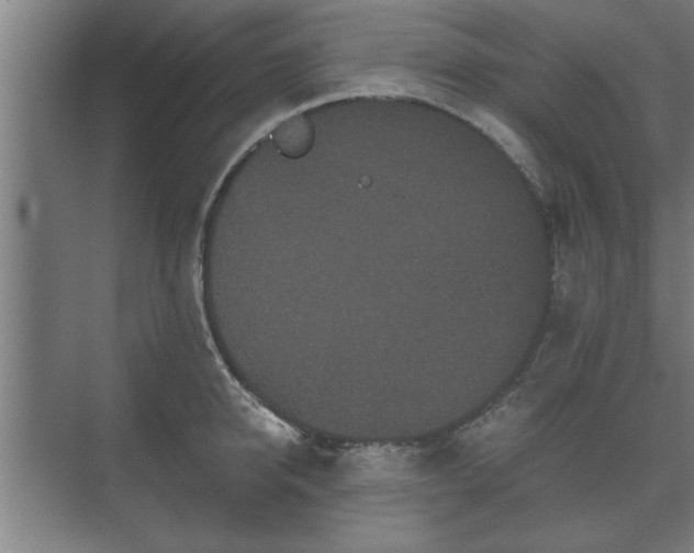 X0000073410950200608040955