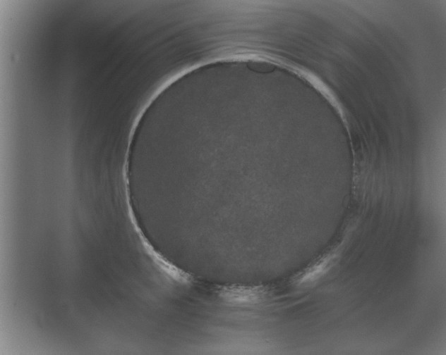 X0000073410951200608040955