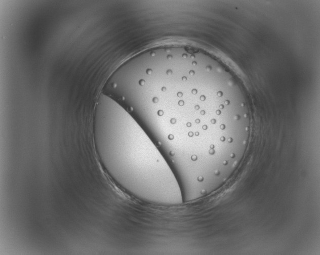 X0000073410953200608040955