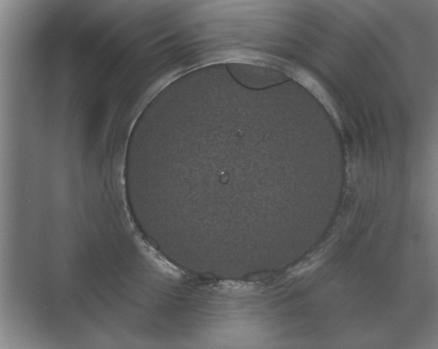 X0000073410954200608040955