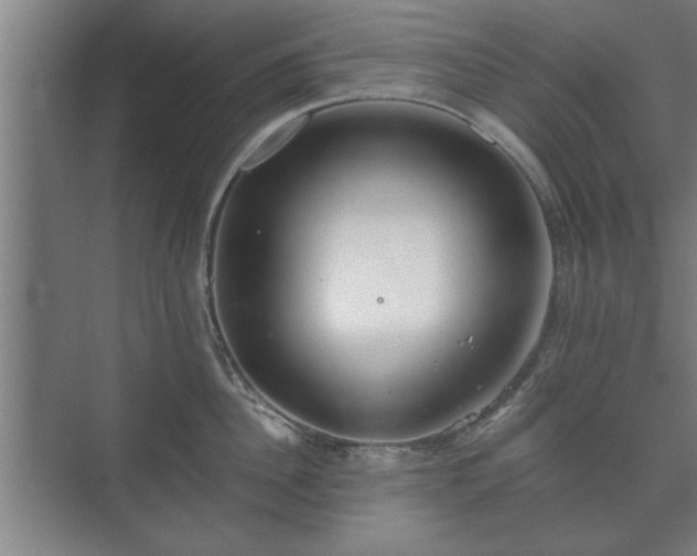 X0000073410956200608040955