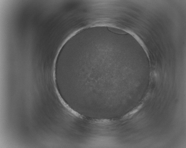 X0000073410957200608040955