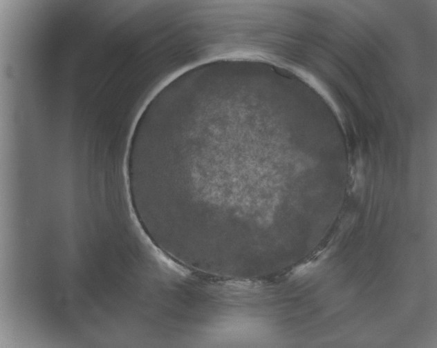 X0000073410959200608040955