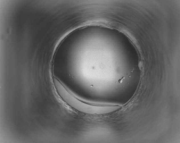 X0000073410960200608040955